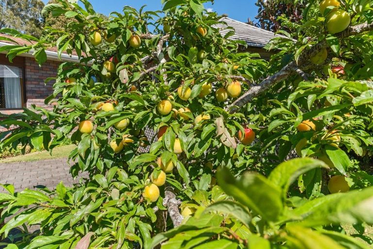 Photo of property in 59 Karina Road, Merrilands, New Plymouth, 4312