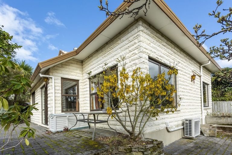 Photo of property in 3 Signal Hill Road, Opoho, Dunedin, 9010