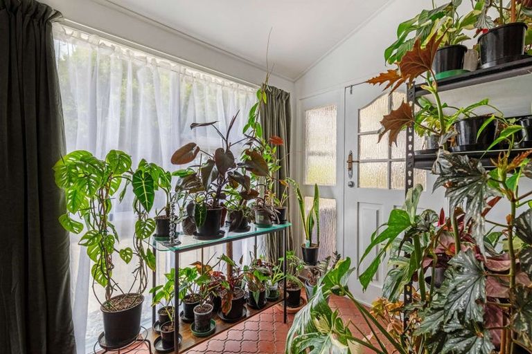 Photo of property in 53 Hampton Terrace, Parkvale, Tauranga, 3112