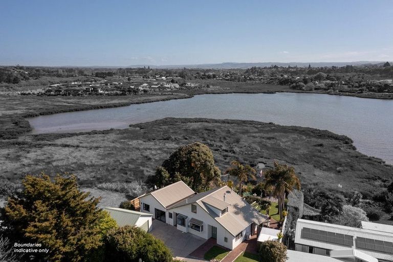 Photo of property in 139 Haukore Street, Hairini, Tauranga, 3112