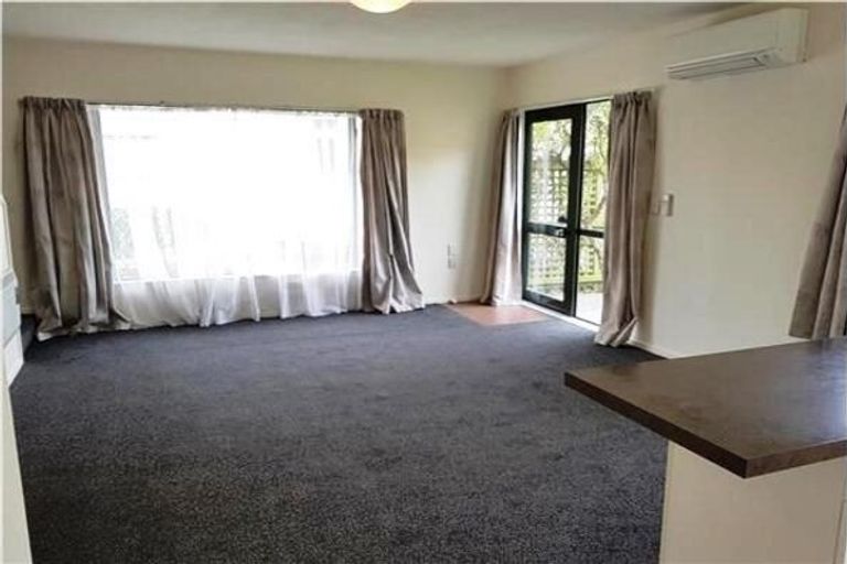 Photo of property in 8/36 Mathesons Road, Phillipstown, Christchurch, 8011