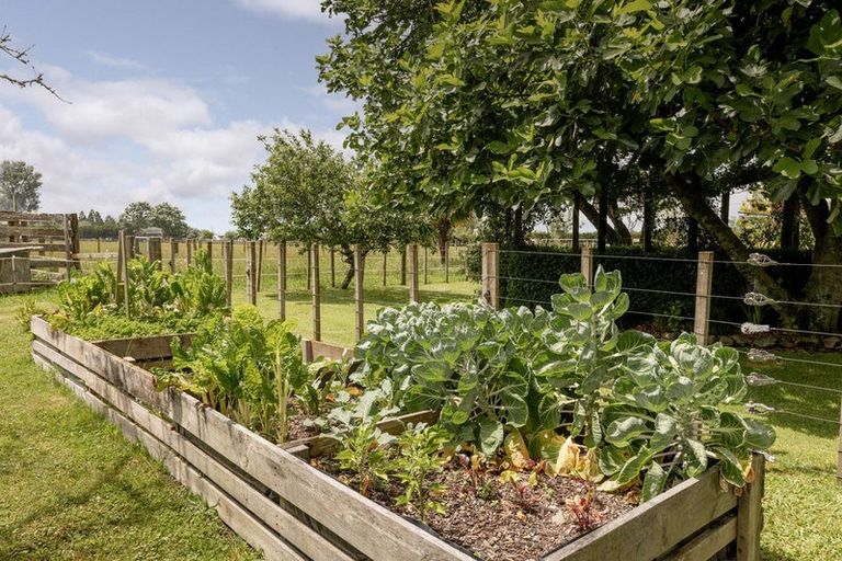 Photo of property in 398 Hallett Road, Otakiri, Whakatane, 3192