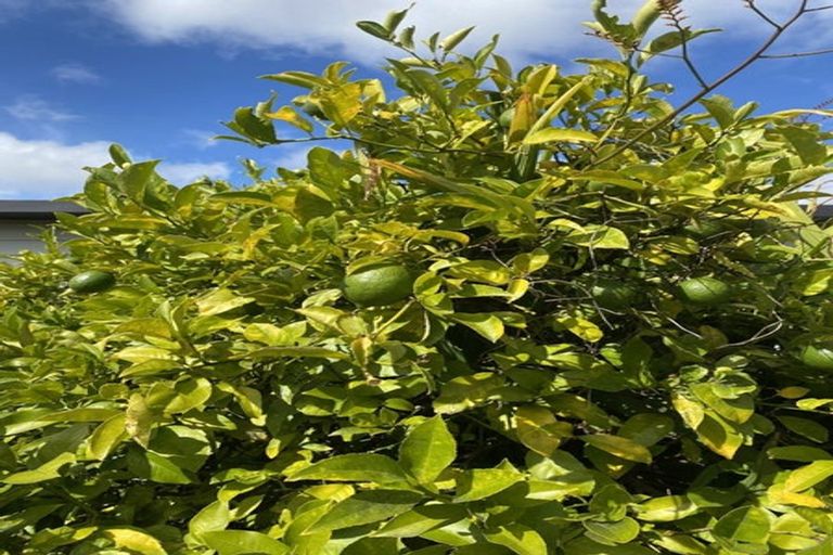 Photo of property in 101 Hoon Hay Road, Hoon Hay, Christchurch, 8025