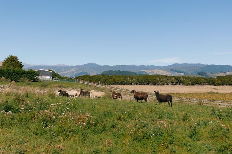 Photo of property in 111a Muhunoa Road West, Ohau, 5570