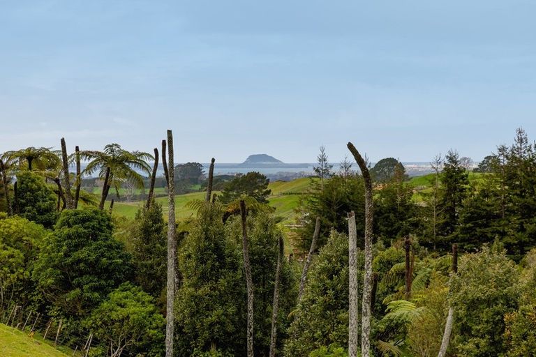 Photo of property in 649c Esdaile Road, Whakamarama, Tauranga, 3180