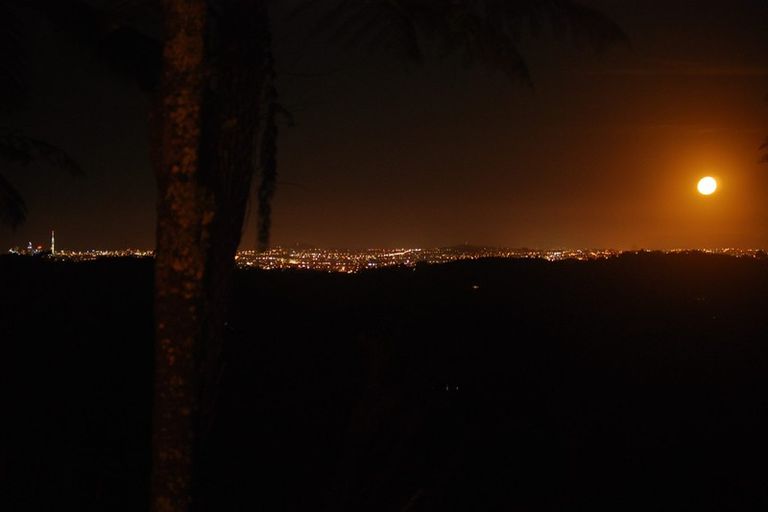 Photo of property in 45 Jonkers Road, Waitakere, Henderson, 0782