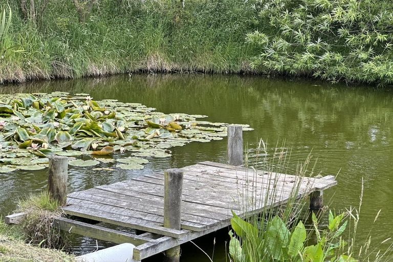 Photo of property in 67 Brockley Road, Claremont, Timaru, 7972