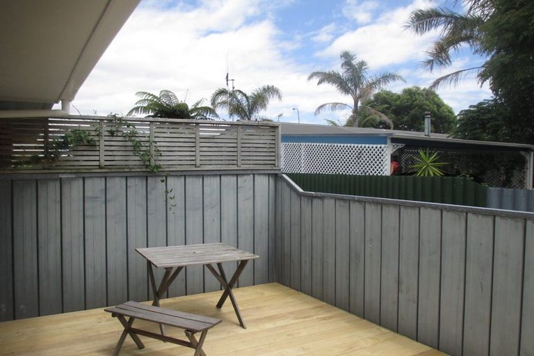 Photo of property in 17 Douglas Street, Levin, 5510
