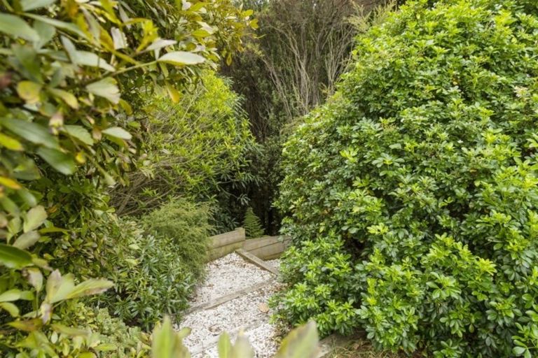 Photo of property in 9 Bradley Avenue, Pyes Pa, Tauranga, 3112