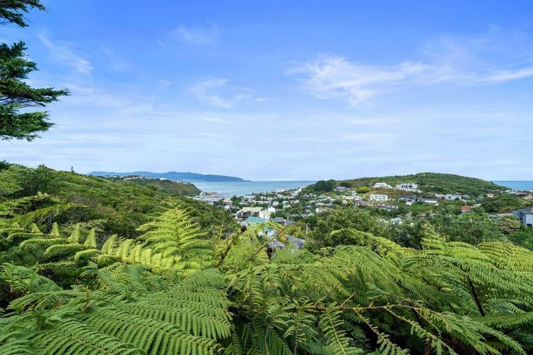 Photo of property in 56 Frobisher Street, Island Bay, Wellington, 6023