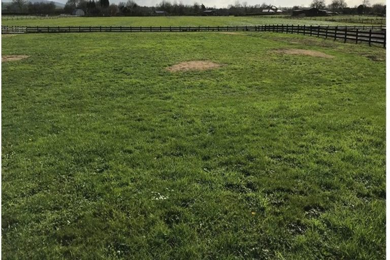 Photo of property in 24 Eldonwood Drive, Matamata, 3400