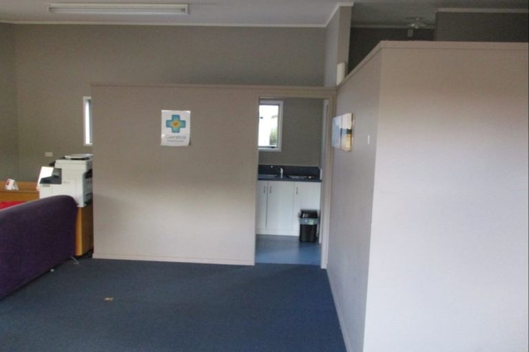 Photo of property in 82 Palmerston Street, Hamilton Lake, Hamilton, 3204
