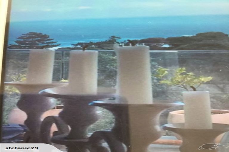 Photo of property in 121 Seaview Road, Piha, New Lynn, 0772