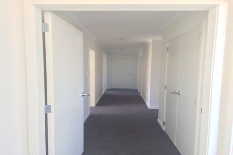 Photo of property in 8 Beggs Lane, Pyes Pa, Tauranga, 3112