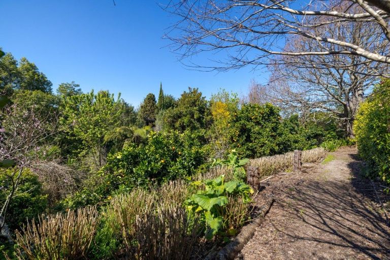 Photo of property in 47 Emmerdale Place, Ohauiti, Tauranga, 3112