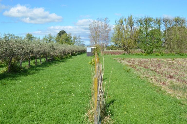 Photo of property in 83 Boundary Road, Upper Plain, Masterton, 5888