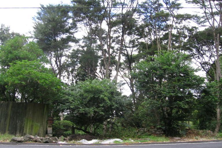 Photo of property in 45 Takahe Road, Titirangi, Auckland, 0604