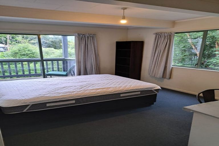Photo of property in 63 Opoho Road, North East Valley, Dunedin, 9010