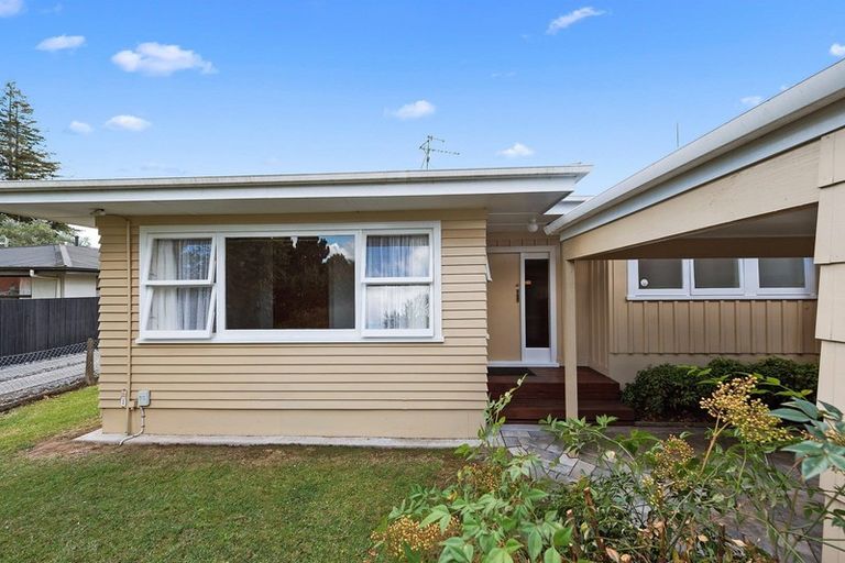 Photo of property in 41a Clarkin Road, Fairfield, Hamilton, 3214