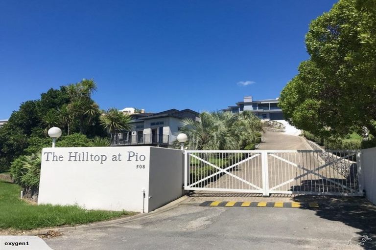 Photo of property in 78 Bowentown Boulevard, Bowentown, Katikati, 3177