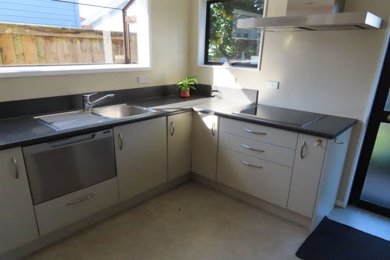 Photo of property in 77b Cook Street, Hamilton East, Hamilton, 3216