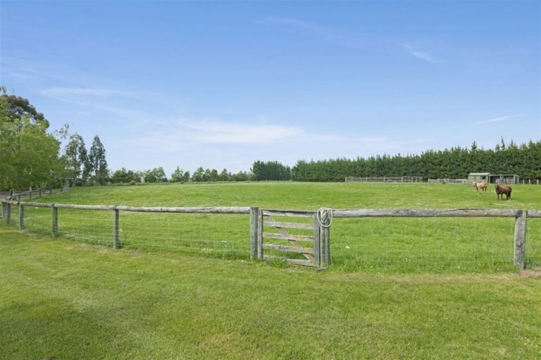 Photo of property in 773 Mount Thomas Road, Fernside, Rangiora, 7471