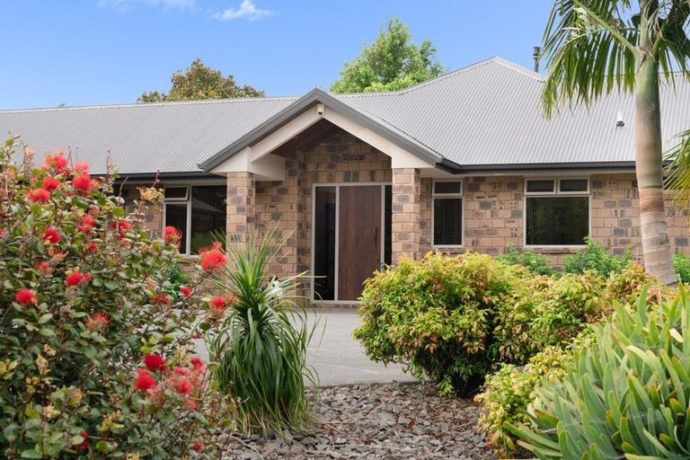 Photo of property in 535 Esdaile Road, Whakamarama, Tauranga, 3180