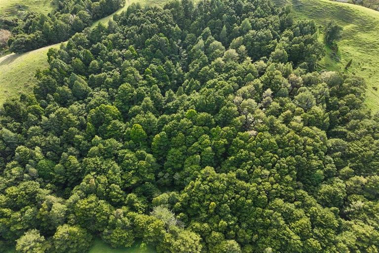 Photo of property in 435 Wairere Road, Paparoa, 0571