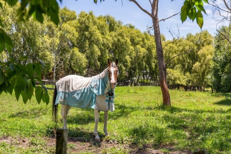 Photo of property in 193 Pine Valley Road, Dairy Flat, Silverdale, 0992