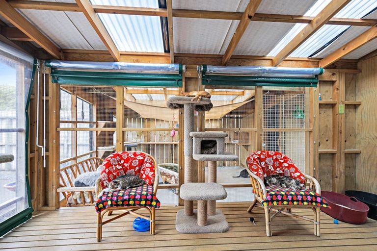 Photo of property in 354 Kaipara Flats Road, Dome Forest, Warkworth, 0981