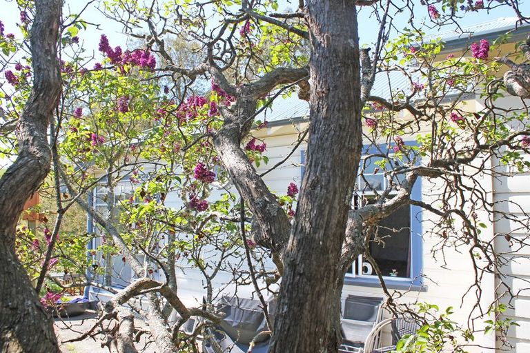 Photo of property in 7 Solway Street, Holmes Hill, Oamaru, 9401