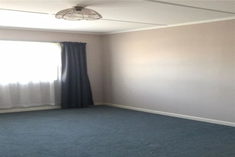 Photo of property in 51 Burwood Road, Matamata, 3400