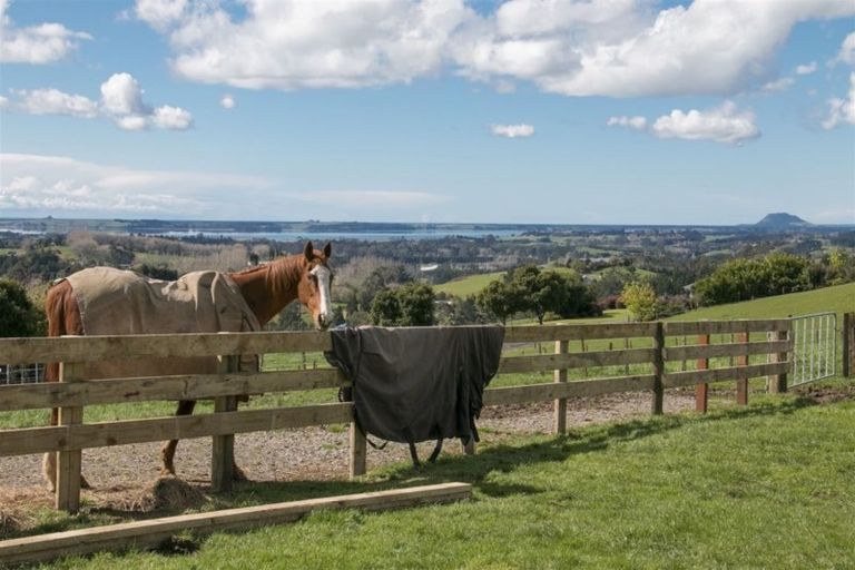 Photo of property in 213 Upland Road, Aongatete, Katikati, 3181