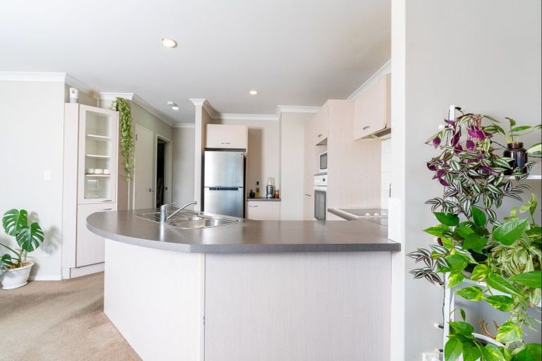 Photo of property in 438d Tristram Street, Whitiora, Hamilton, 3200