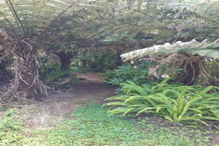 Photo of property in 323c Waikawau Beach Road, Waikawau, Coromandel, 3584