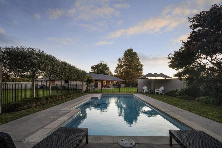 Photo of property in 12 Cowley Drive, Leamington, Cambridge, 3432