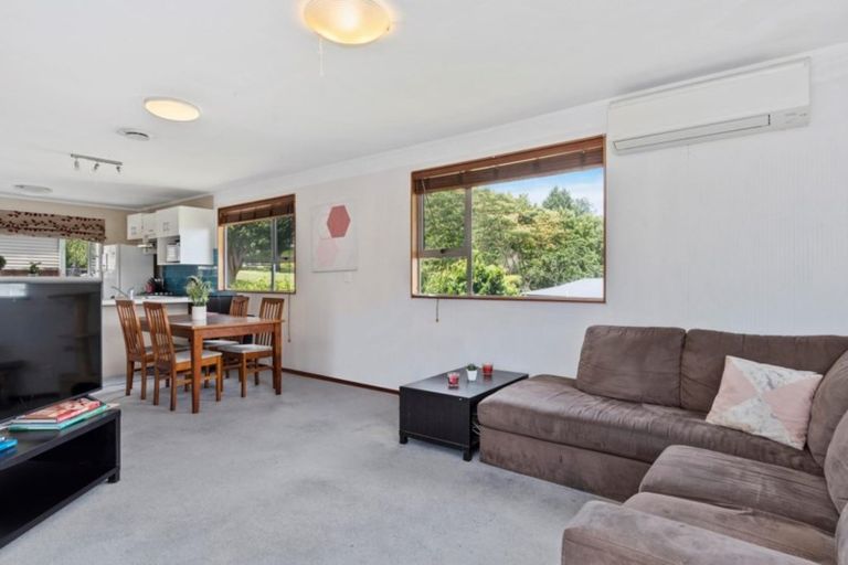 Photo of property in 220 Fraser Street, Tauranga South, Tauranga, 3112