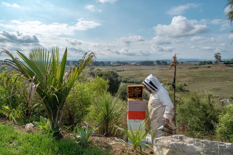 Photo of property in 9 Lakeside Lane, Rangiriri, Huntly, 3772