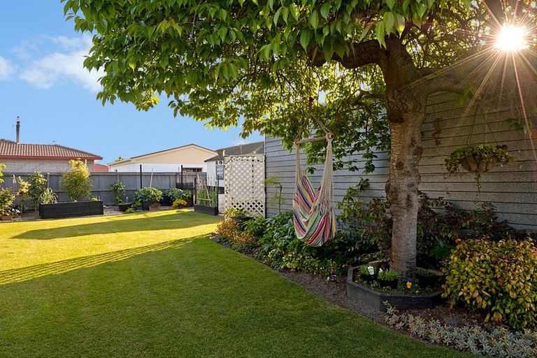 Photo of property in 16 Donegal Street, Belfast, Christchurch, 8051