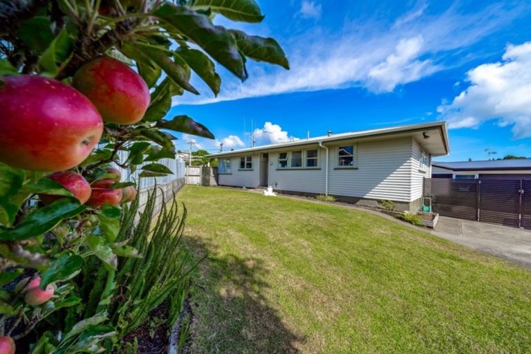 Photo of property in 161 Bellevue Road, Bellevue, Tauranga, 3110