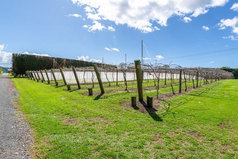 Photo of property in 154b Wairoa Road, Minden, Tauranga, 3171