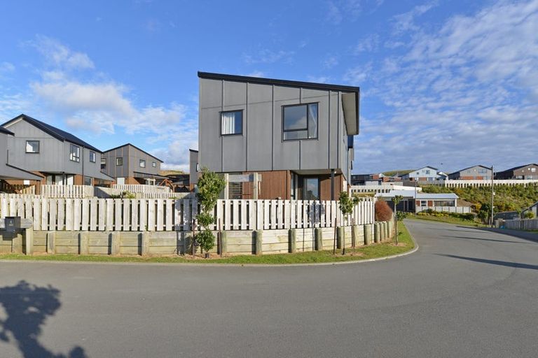 Photo of property in 4 Astelia Way, Woodridge, Wellington, 6037