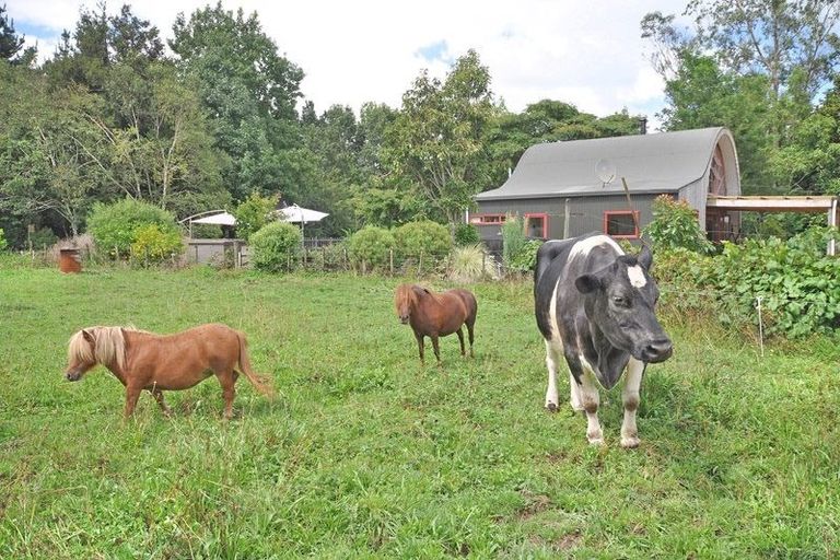 Photo of property in 1082 Churchill Road, Pukekawa, Tuakau, 2696