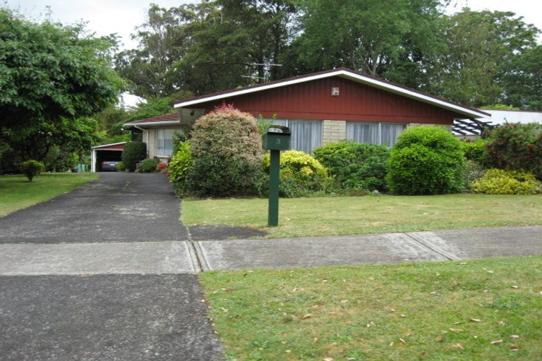 Photo of property in 3 Cardiff Street, Pukekohe, 2120