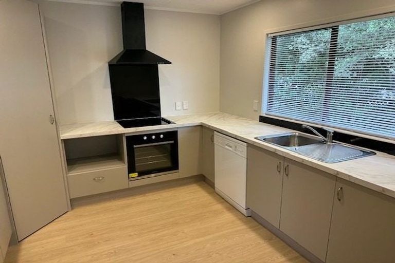 Photo of property in 101 Santiago Crescent, Unsworth Heights, Auckland, 0632