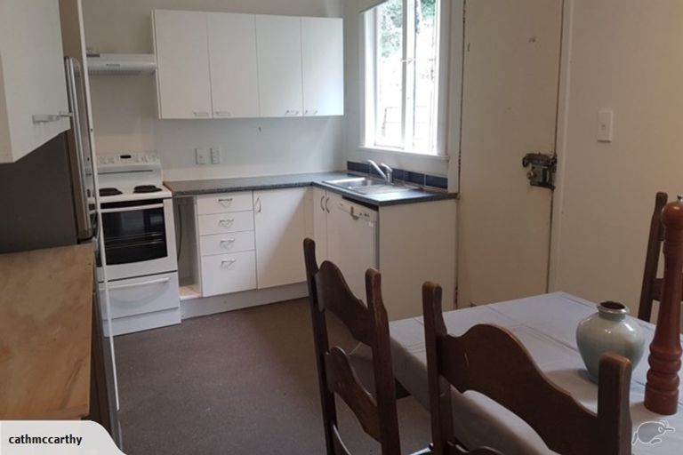 Photo of property in 51 Farnham Street, Mornington, Wellington, 6021