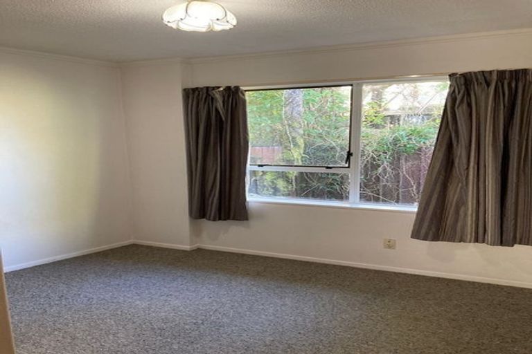Photo of property in 46b Copeland Street, Hutt Central, Lower Hutt, 5011