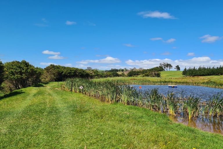 Photo of property in 304 Arapaoa Road, Tinopai, Matakohe, 0593