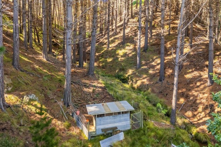 Photo of property in 329 Takarau Gorge Road, Ohariu, Wellington, 6037
