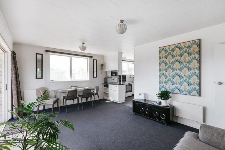 Photo of property in 41 Concord Avenue, Mount Maunganui, 3116